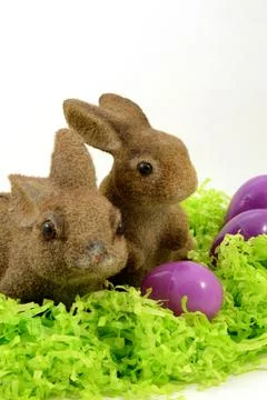 Festive Easter Bunnies Stock Photos