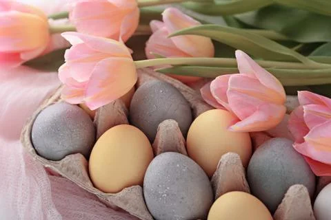 Festive Easter composition of yellow and blue pastel natural eggs, tulips on  Stock Photos