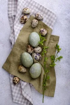 Festive Easter paintd green eggs Stock Photos