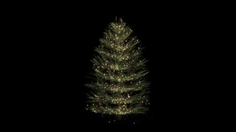 Festive Evergreen Pine Tree Sparkle Holiday Animation Stock Footage 342628811