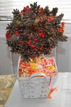 A festive fall arrangement. Composition Tree of fir and pine cones, Rowan ber Stock Photos