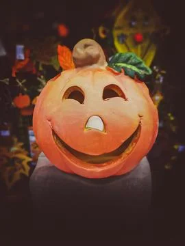 Festive Fall Pumpkin Stock Photos