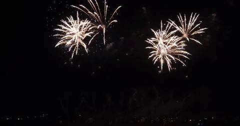 Festive fireworks on the background of the night sky. A solemn salute Stock Footage 220509843