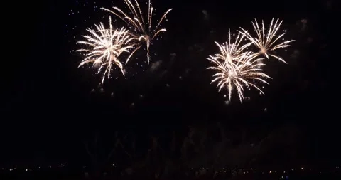 Festive fireworks on the background of the night sky Stock Footage 220514030