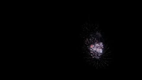 Festive Fireworks Display Dark Sky Celebration 스톡 동영상 262312195