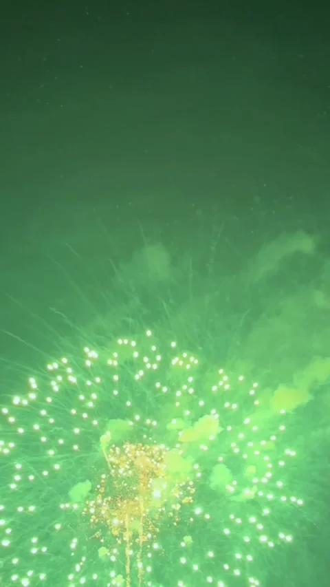 Festive Fireworks Display Exploding in the Night Sky Stockbeeldmateriaal 346905889