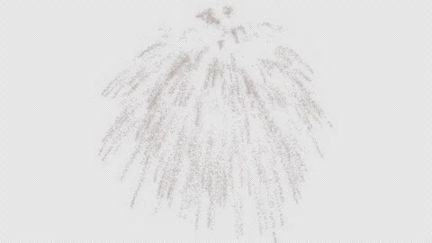 Festive Fireworks Explosion Pack Isolated on Alpha Overlay. 库存影片 342212386