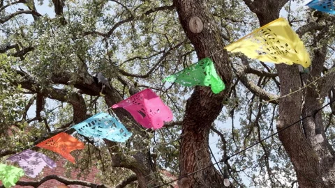 Festive flags hang from trees above marking a festive mood and celebration. 動画素材 344906920