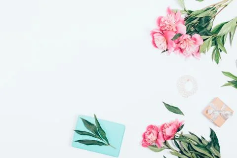 Festive flat lay frame of pink peony flowers Stock Photos