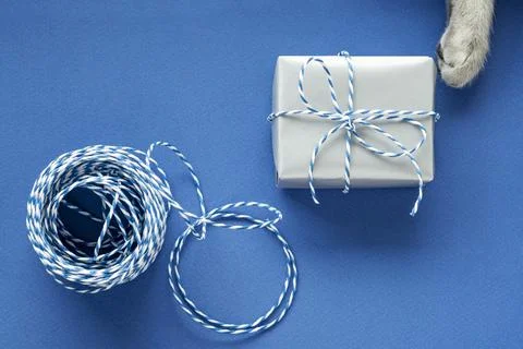 Festive flat lay: present in silver box, blue gift wrapping rope and gray cat Stock Photos