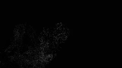 Festive floating particles, dust. Shining sparkles. Stock Footage 112105087