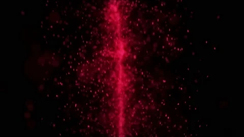 Festive floating particles, dust. Shining sparkles. Video stock 112234219