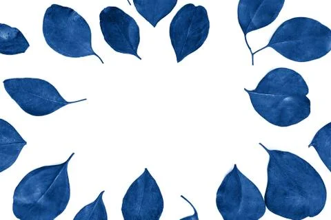 Festive floral flat lay composition of blue eucalyptus leaves on white Stock Photos