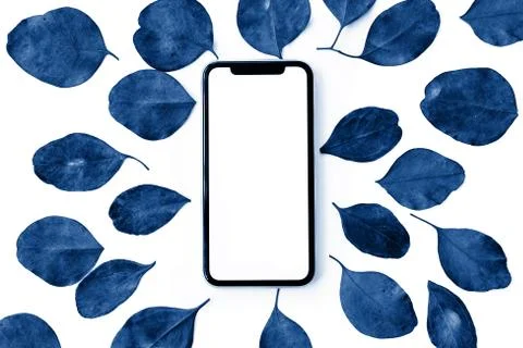 Festive floral flat lay composition mobile phone with blank screen and colorful Stock Photos
