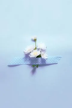 Festive flower composition on blue background still life Stock Photos