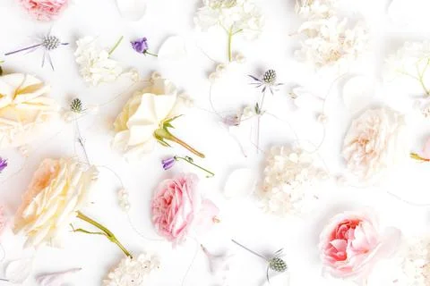 Festive flower composition on the white background. Overhead view Stock Photos