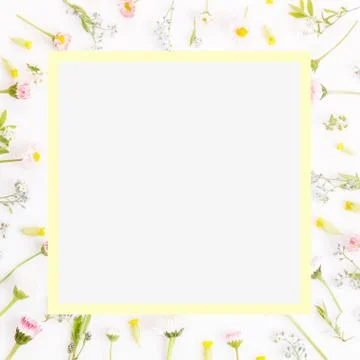 Festive flowers frame, composition on white background. Overhead top view, flat Stock Photos
