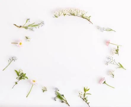 Festive flowers frame, composition on white background. Overhead top view, flat Stock Photos