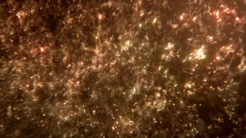 Festive golden macro particle loop 스톡 동영상 318246441