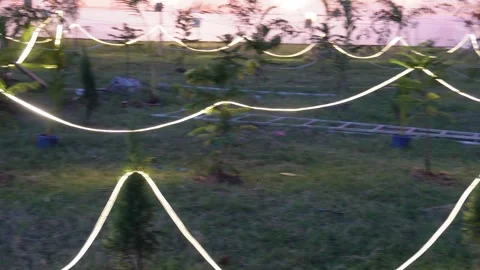 Festive Grassy Yard Stock Footage 326331293