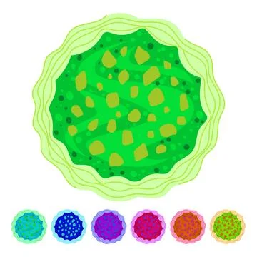 Festive green cake top view with toppings graphic Stock Illustration