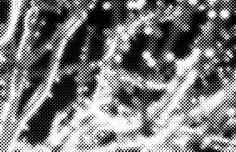A festive halftone pattern with a duotone effect, featuring grainy texture an Foto stock