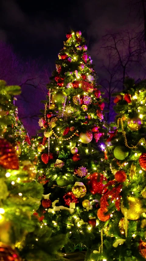 Festive holiday lights and decorations magical Christmas trees Stock Footage 323131237