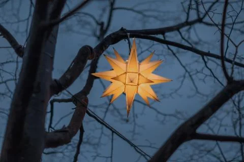 Festive lantern in the street on the tree. Stock Illustration