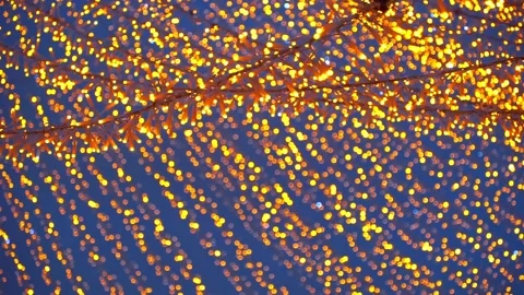 Festive light strings against the twilight sky. Christmas and New Year evenin Stock Footage 219891247