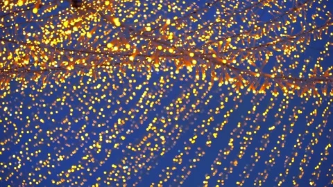 Festive light strings against the twilight sky. Christmas and New Year even.. Stock Footage 321062862