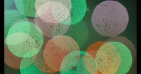 Festive lights, bokeh effect. Flickering colored lights. Stock Footage 100262930