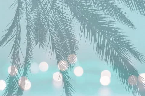 Festive lights Stock Photos