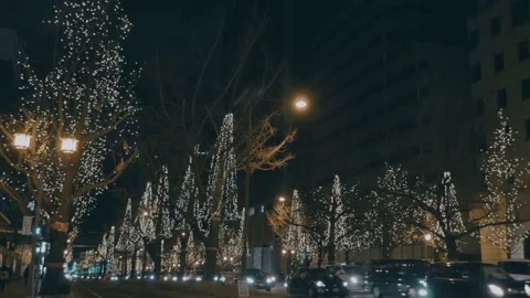 Festive lights on trees. Bright decorated trees at the Sidewalk. New year mood Stock-Footage 140384755