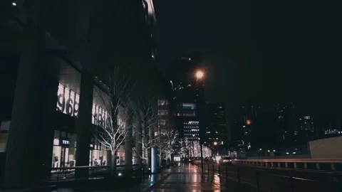 Festive lights on trees. New year or christmas mood. Drive home. Stock Footage 140384524