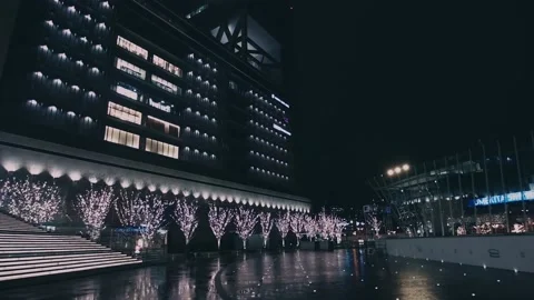 Festive lights on trees. New year or christmas mood. Stock Footage 140384536