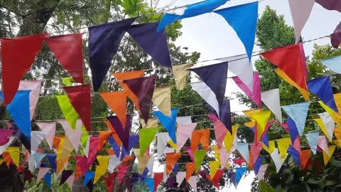 Festive Multi-Colored Flags Fluttering Among Green Trees 動画素材 331862338