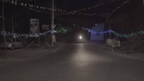 A festive nighttime road with flags and gerlands in Indian Village. Stock Footage 295923200