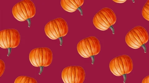 Festive Orange Pumpkins on Pink Background Stock Footage 278386166