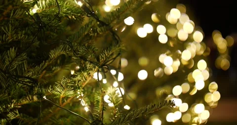 Festive panorama background with christmas trees lights and people walking  Stock-Footage 166663382
