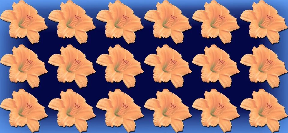 Festive pattern of orange lily flowers on blue Stock Illustration
