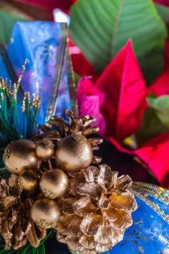 Festive Stock Photos