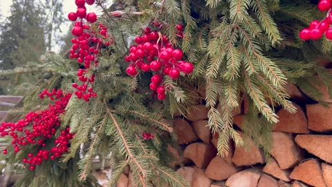 Festive pine branches adorned with vibrant red berries and firewood Stock Footage 312901856