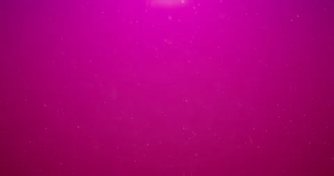 Festive pink background with abstract sp... | Stock Video | Pond5