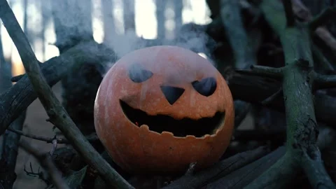 Festive pumpkin steaming in the woods Stock Footage 141307667