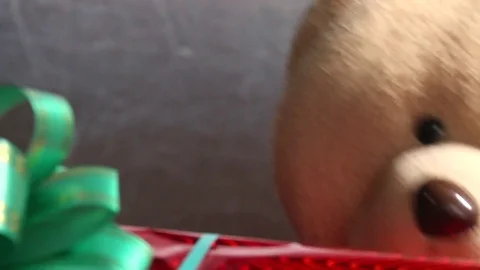 Festive red box with a green bow and toy teddy bear get a gift. Extraordinary Stock Footage 81179035
