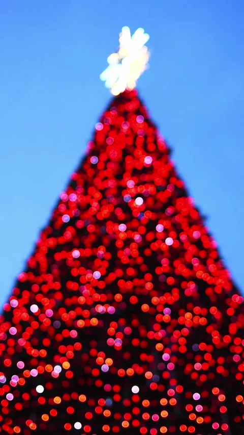 Festive Red Christmas Tree Lights With Bokeh Effect Against Twilight Sky 動画素材 339743551