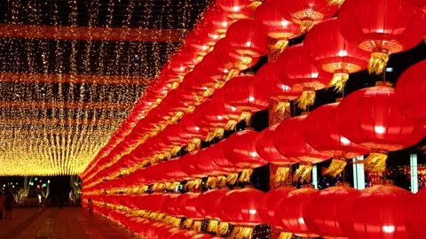 Festive red lanterns Stock Footage 347073727