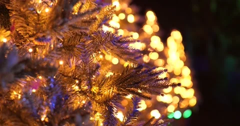 Festive Row of Christmas Tree and Lights at Night Stock Footage 223877479