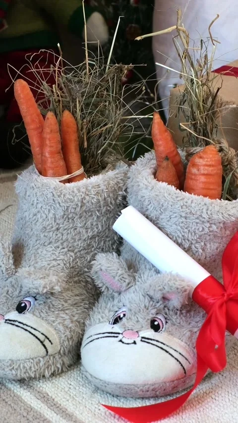 Festive scene featuring cozy slippers filled with carrots and hay, surrounded by Stock Footage 318718136