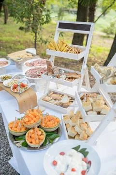 Festive set table with different dishes in a green forest Stock Photos